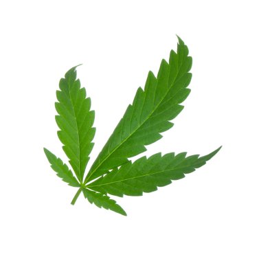 arka planda esrar ot, yakın