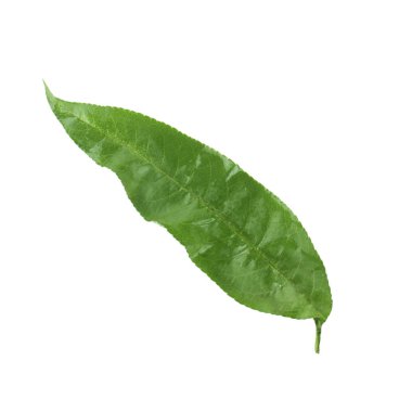 Olgun şeftali meyve yakın çekim