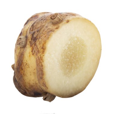 beyaz arka planda izole galanga kökü, yakın çekim  