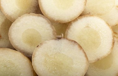 galanga kök dilimleri arka plan, yakın- görünüm 