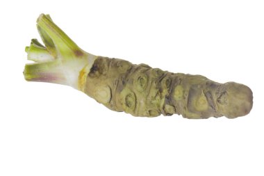 beyaz arka planda izole wasabi kökü, yakın çekim  