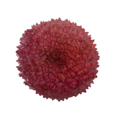 arka planda taze lychee, yakın