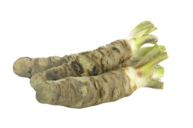 beyaz arka plan üzerinde izole wasabi kökleri, yakın çekim  