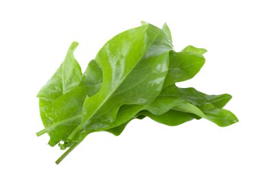 arka planda aromatik bitki, yakın