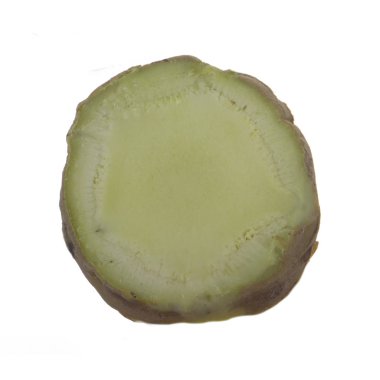 arka planda aromatik bitki, yakın