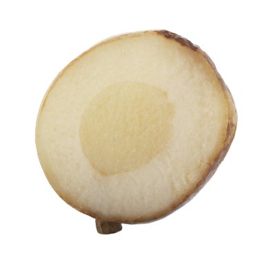 beyaz arka planda izole galanga kökü, yakın çekim  