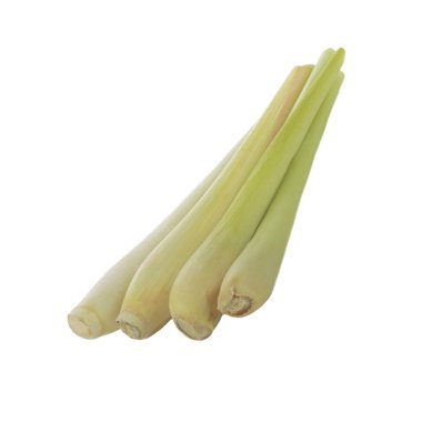 arka planda taze citronella, yakın