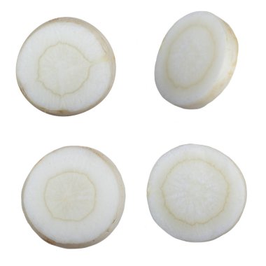 beyaz arka planda izole sebze kökü