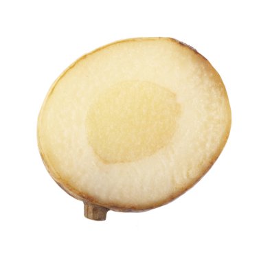 beyaz arka planda izole galanga kökü, yakın çekim  