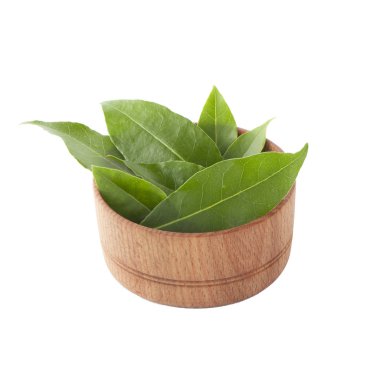 arka planda aromatik bitki, yakın