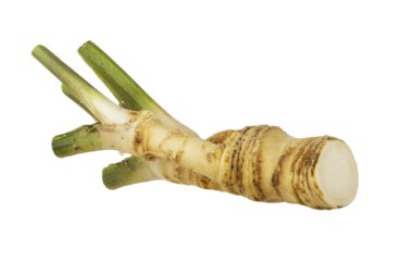 beyaz arka planda izole sebze kökleri