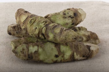 beyaz arka plan üzerinde izole wasabi kökleri, yakın çekim  