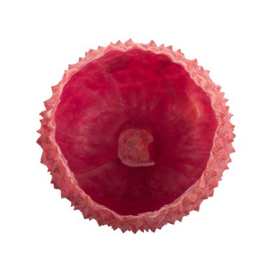 arka planda taze lychee, yakın