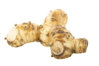 beyaz arka planda izole galanga kökü, yakın çekim  