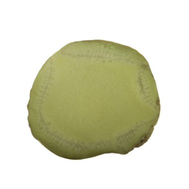 arka planda aromatik bitki, yakın