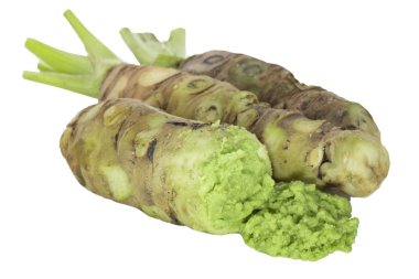 beyaz arka plan üzerinde izole wasabi kökleri, yakın çekim  