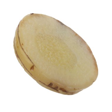 beyaz arka planda izole galanga kökü, yakın çekim  