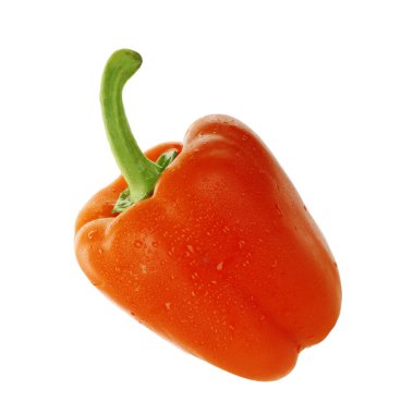 Beyaz arka planda izole edilmiş dolmalık biberin yakın çekimi, yakın çekim 