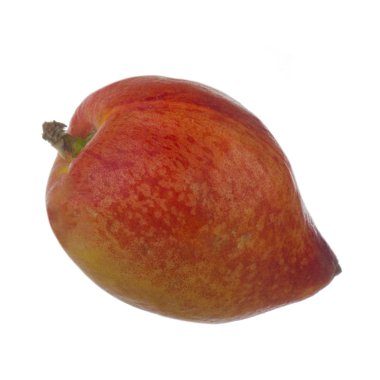 olgun nektarin meyve yakın 