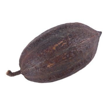 arka planda organik kakao, yakın