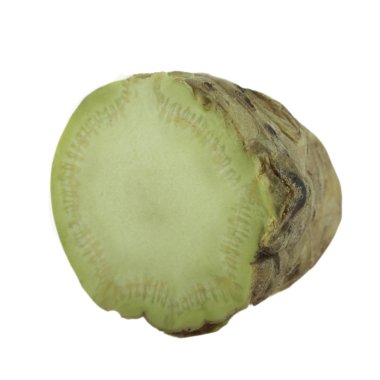 arka planda aromatik bitki, yakın