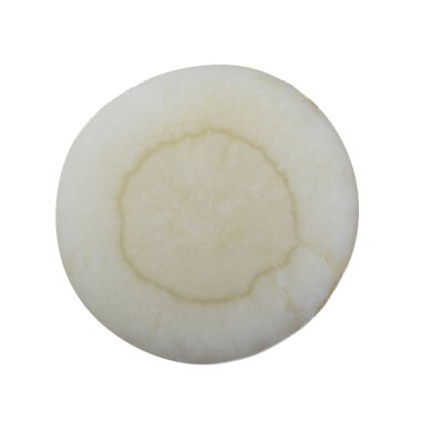 maydanoz kökü dilimi beyaz arka plan üzerinde izole