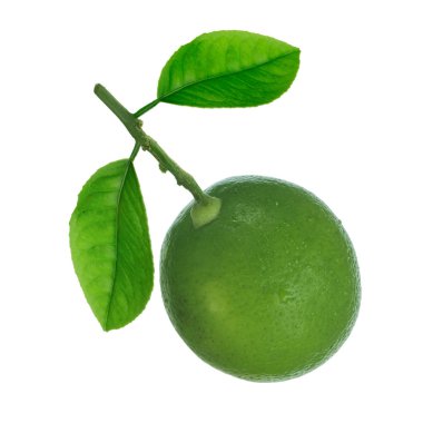 arka planda doğal narenciye, yakın çekim