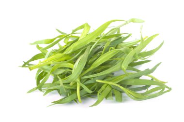 arka planda aromatik bitki, yakın