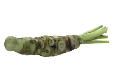 beyaz arka planda izole wasabi kökü, yakın çekim  