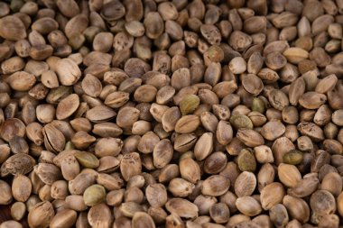 arka planda esrar ot, yakın