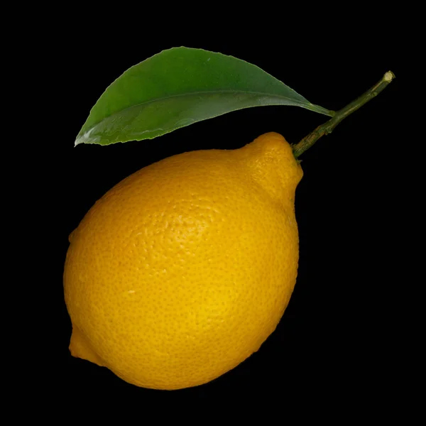 Érett Citrus Háttérben Közelről — Stock Fotó