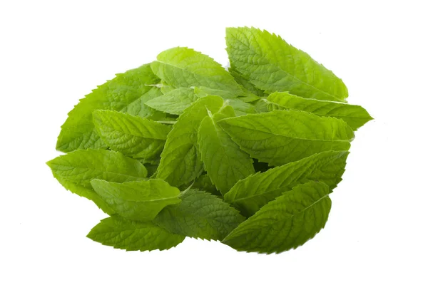 Mint Leaves Isolated White Background — Stock Photo, Image