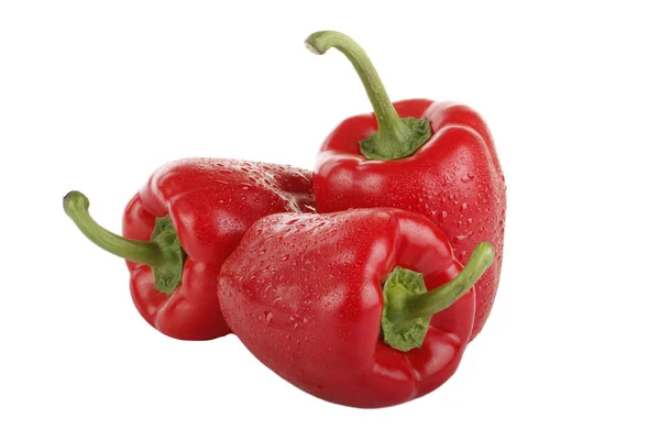 Fehér Háttéren Izolált Paprika Closeup Közeli — Stock Fotó