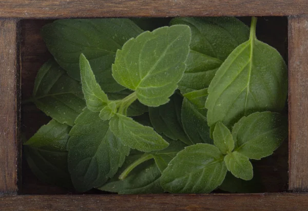 mint green leaves in wooden crate