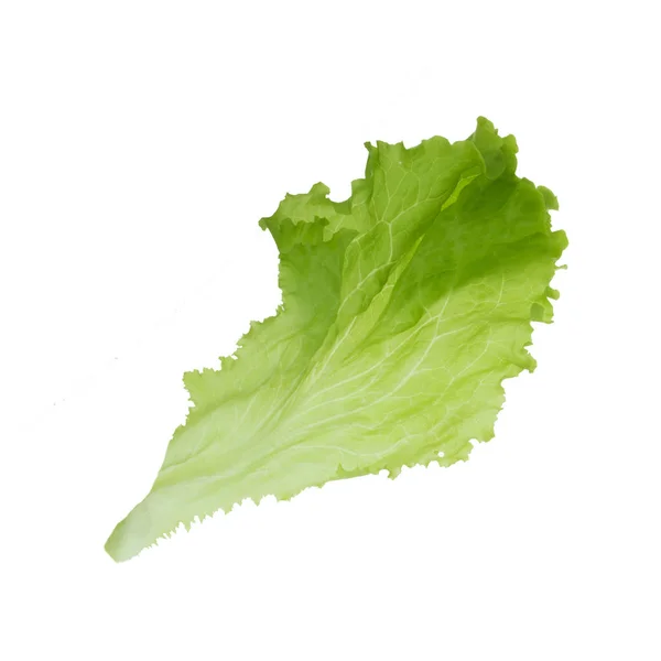 Salatblatt Isoliert Auf Weißem Hintergrund — Stockfoto
