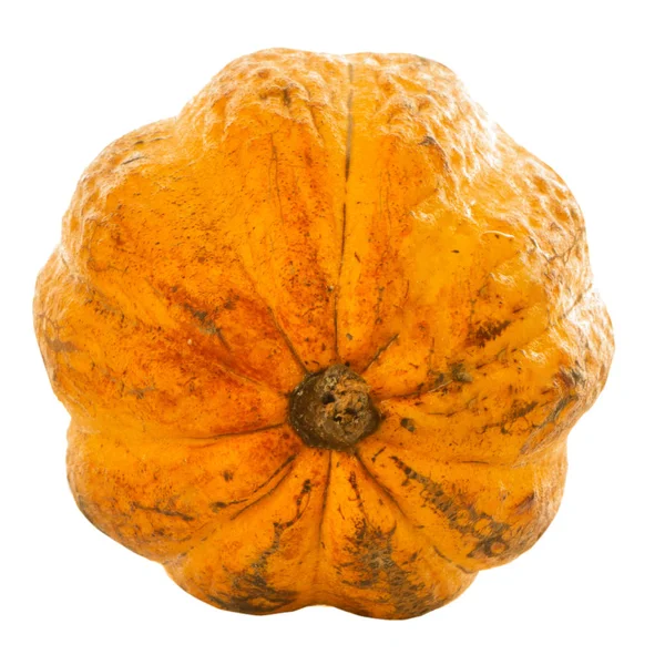 arka planda lezzetli kakao, yakın