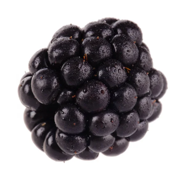 Beyaz arka plan üzerinde izole bir böğürtlen