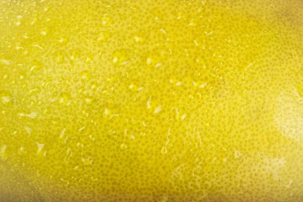 su damlaları ile narenciye, yakın çekim