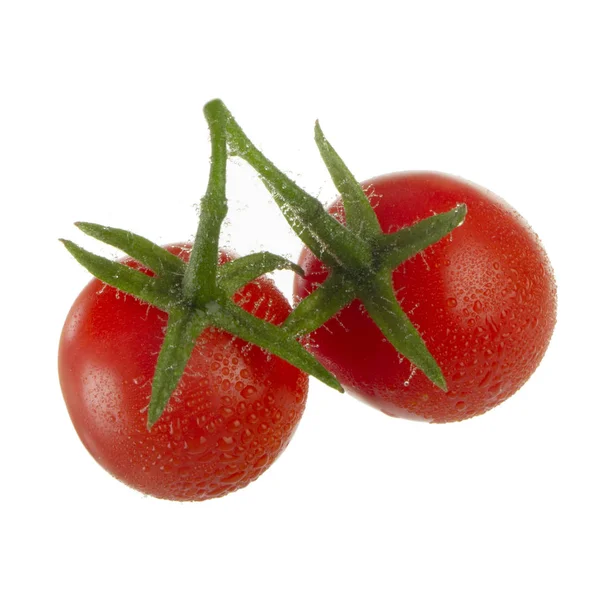 Tomates Videira Isolados Sobre Fundo Branco — Fotografia de Stock