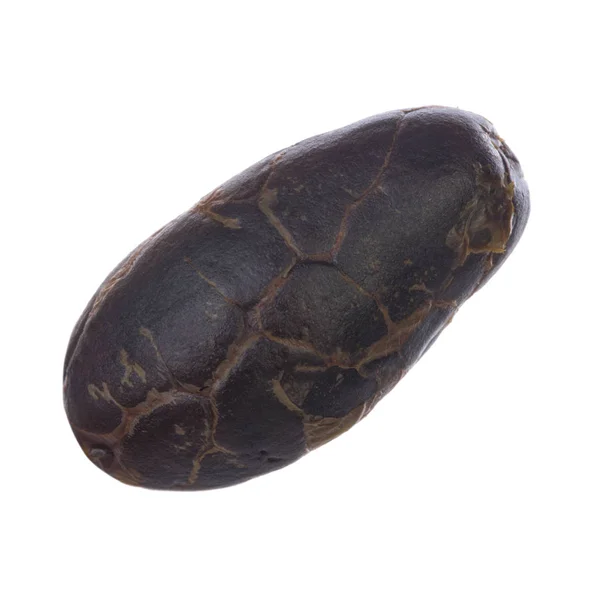 Heerlijke Cacao Achtergrond Close — Stockfoto