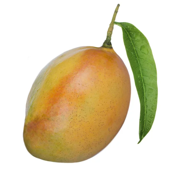 Frutta Matura Mango Vicino — Foto Stock