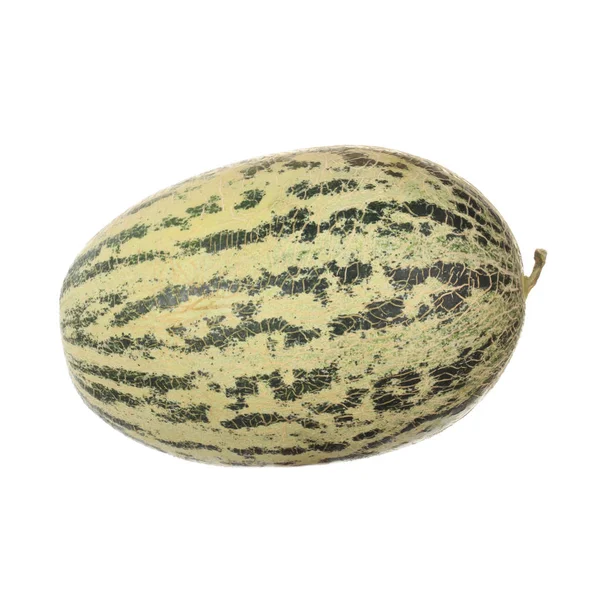 Melon Frukt Närbild — Stockfoto