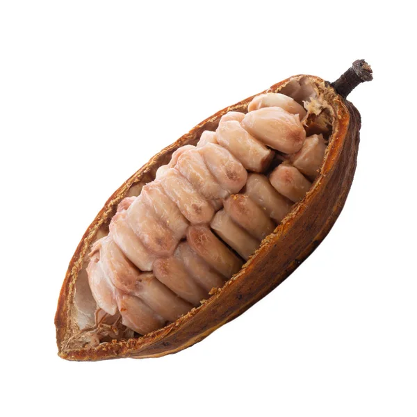 Bio Kakao Hintergrund Nahaufnahme — Stockfoto