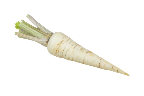 Parsley Root Isolated White Background — Stock Photo, Image