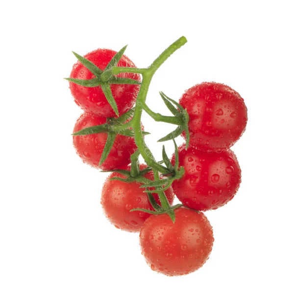 Tomates Vigne Isolées Sur Fond Blanc — Photo