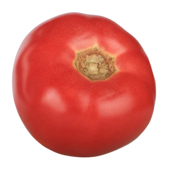 배경에 토마토의 — 스톡 사진