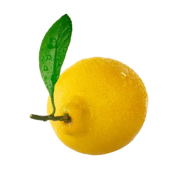 Natural Citrus Background Close — Stock Photo, Image