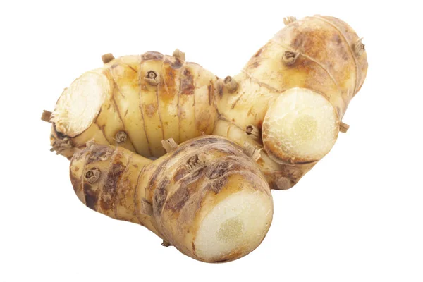 beyaz arka planda izole galanga kökü, yakın çekim  