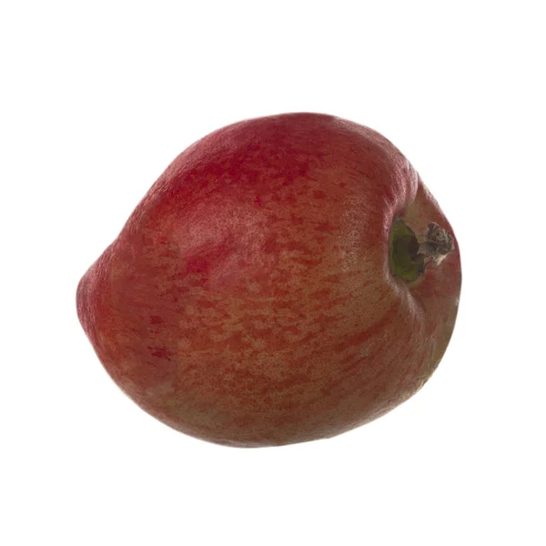 Fruta Madura Nectarina Cerca —  Fotos de Stock