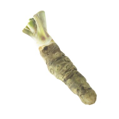 beyaz arka planda izole wasabi kökü, yakın çekim  